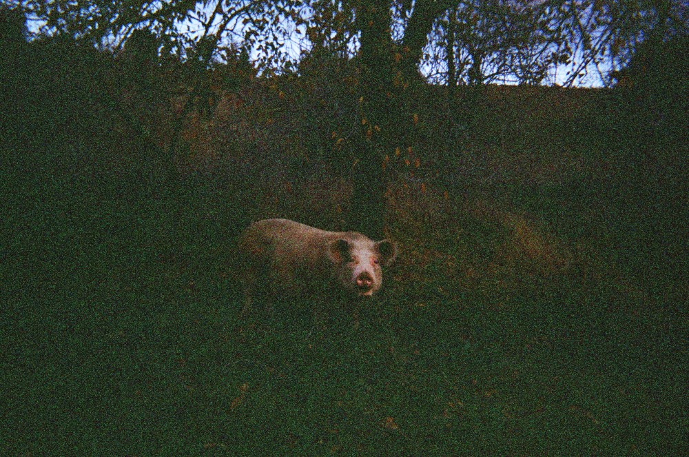 05100014.JPG