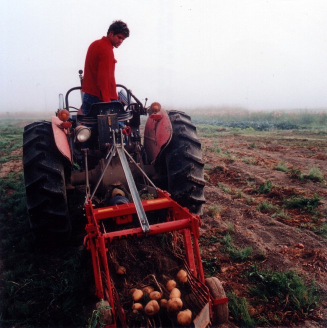 14of20-davidson-potatoeharvesttractor.jpg