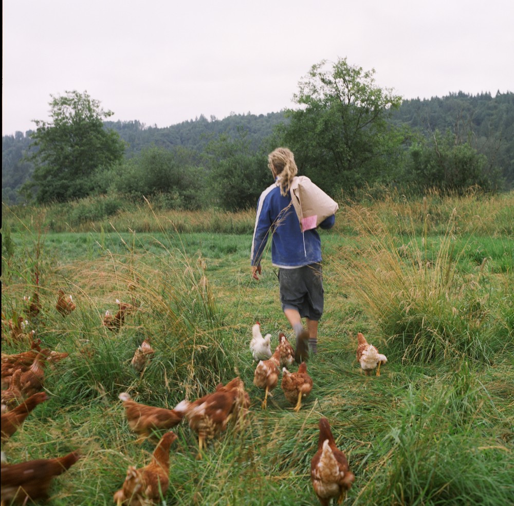 15of20-davidson-blakefeedingchickens.jpg