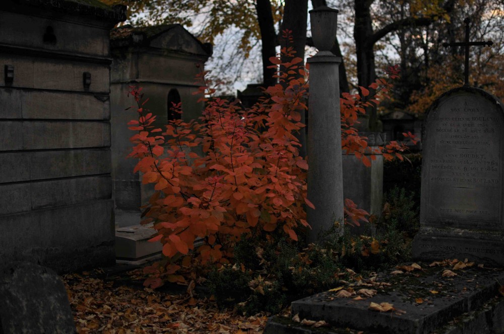 DSC_0139.jpg