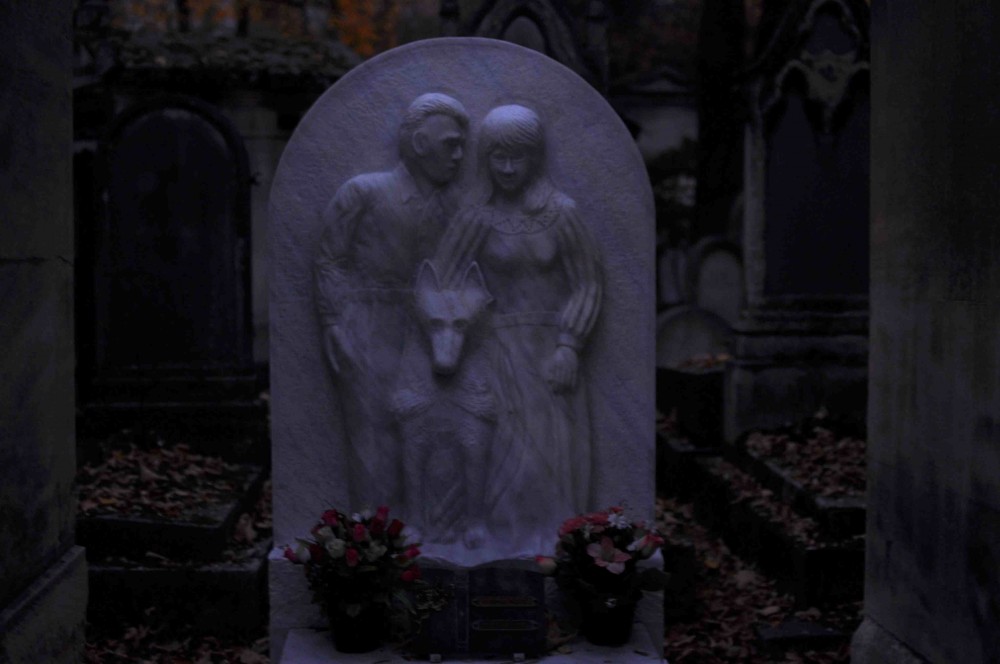 DSC_0232.jpg