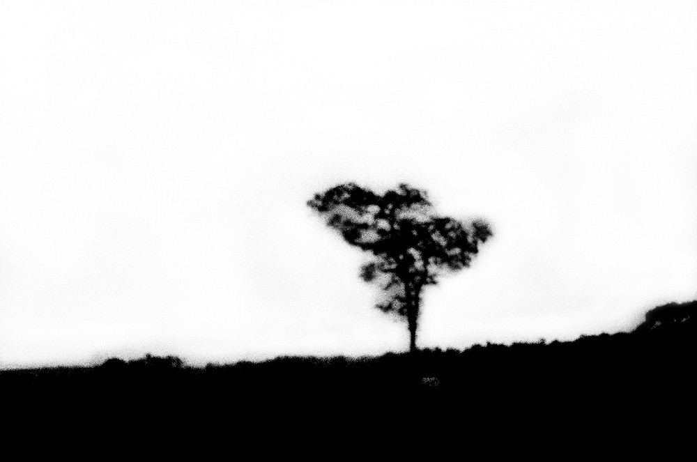 LOOMING_0003.JPG