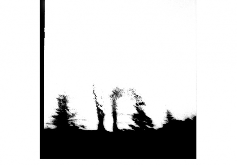 LOOMING_0012.JPG