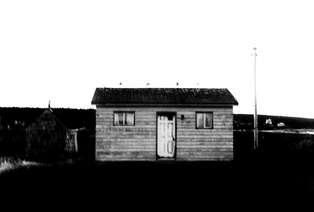 LOOMING_0030.JPG