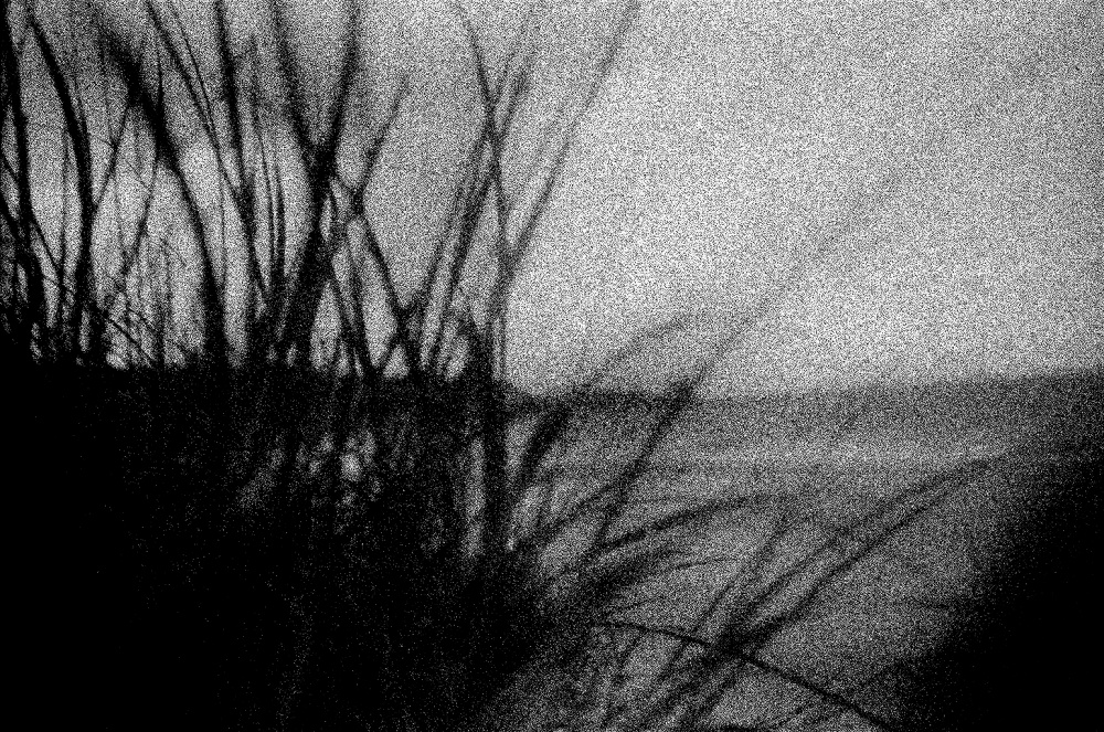 LOOMING_0035.JPG