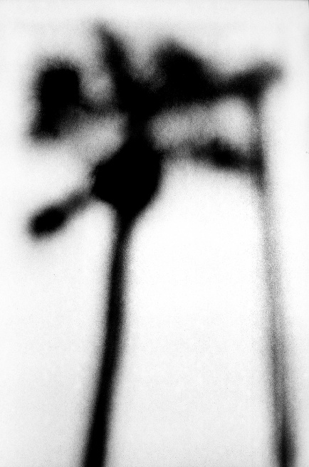 LOOMING_0080.JPG