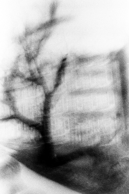 LOOMING_0083.JPG