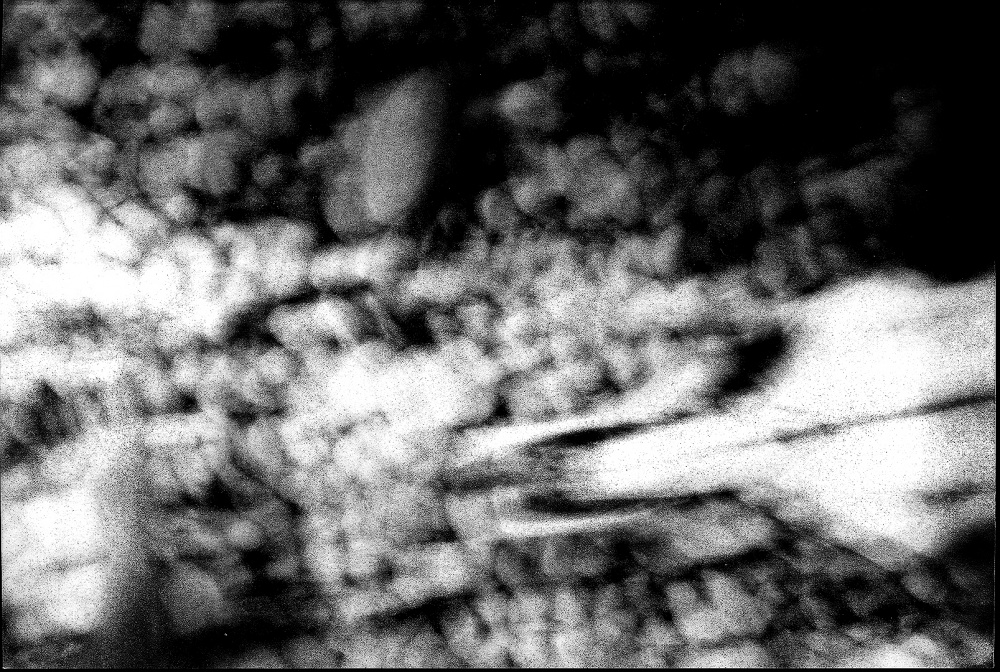 LOOMING_0086.JPG