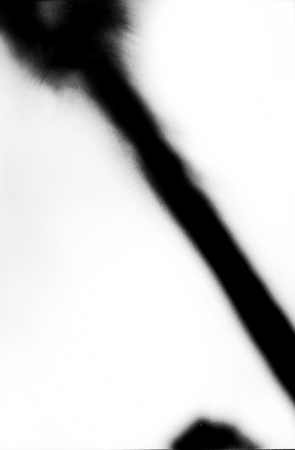 LOOMING_0093.JPG