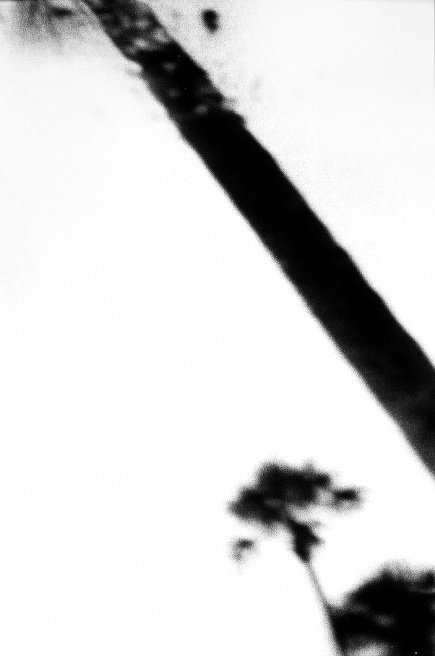 LOOMING_0094.JPG