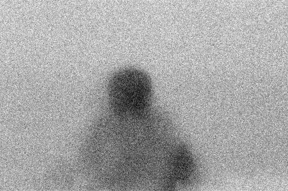LOOMING_0097.JPG