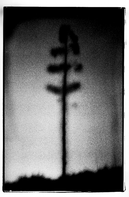 LOOMING_0098.JPG