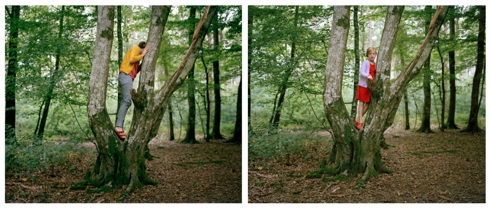 woods.jpg