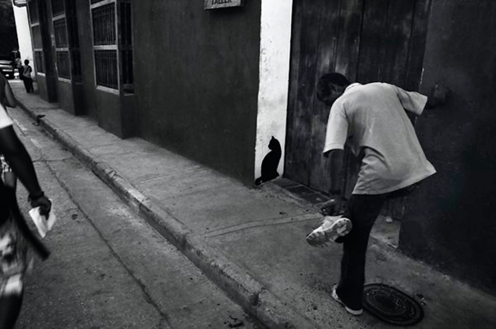 38_ColombiaCartagena_BlackCat.jpg