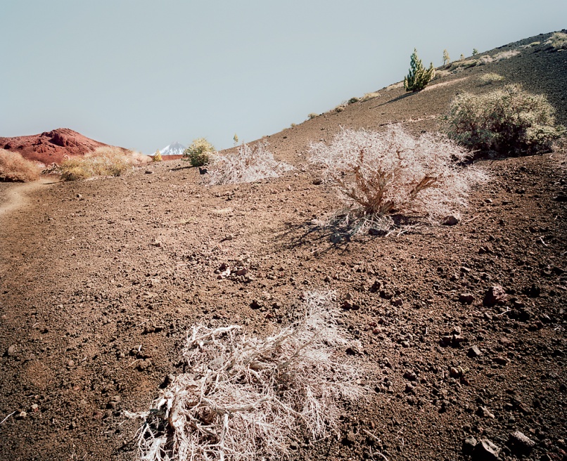 El_Teide_09_end.jpg