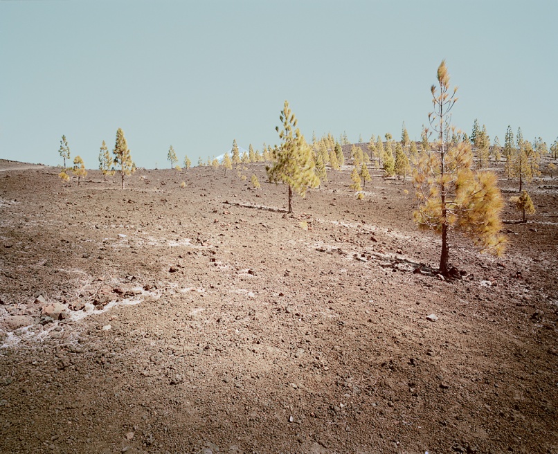 El_Teide_14_end.jpg