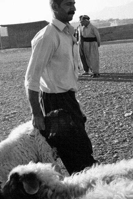 Iraq_Visura_32.jpg