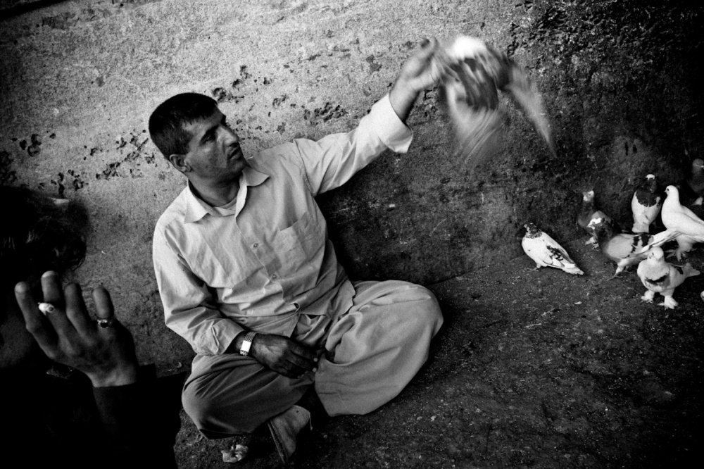 Iraq_Visura_33.jpg