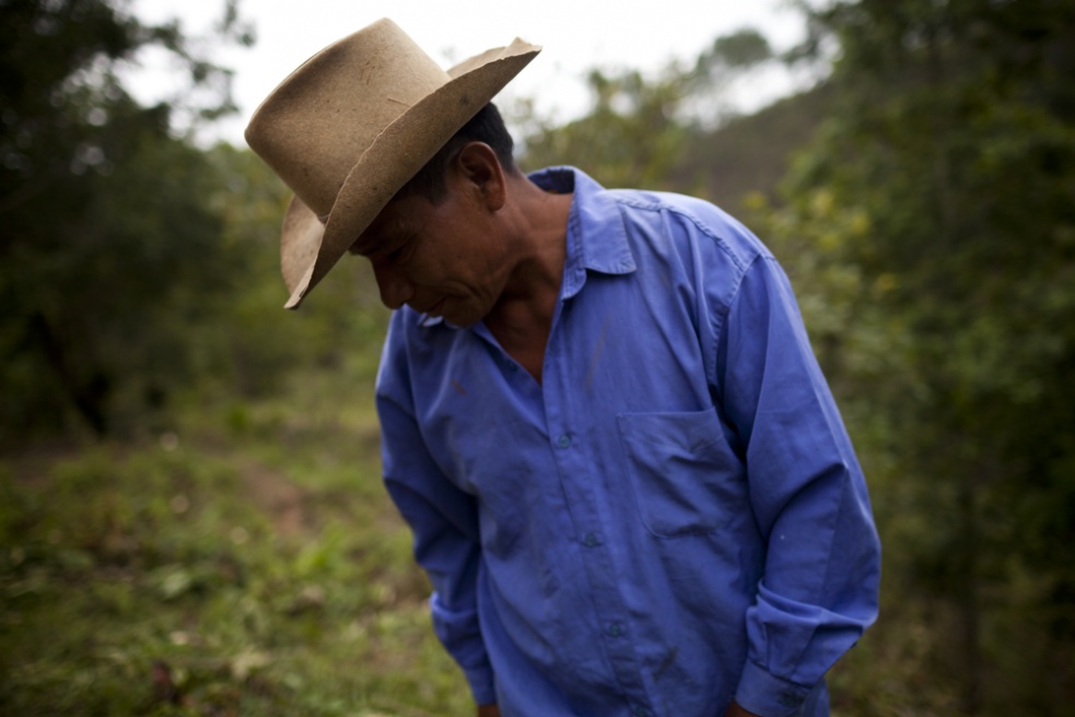 GreenHunger023.jpg