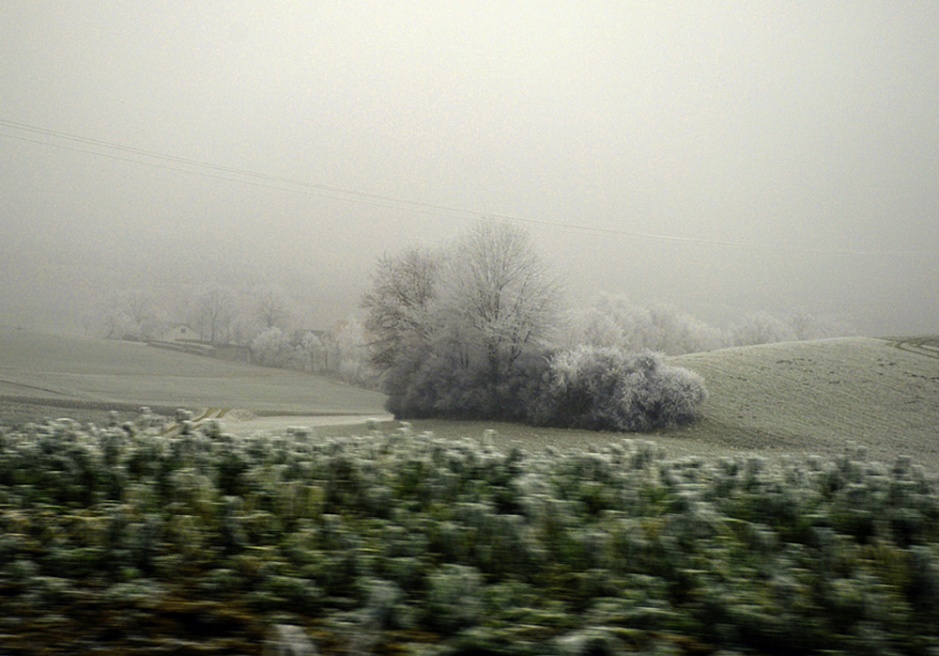 DSC_0464.jpg