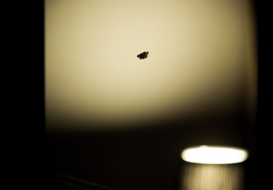 DSC_5531.jpg