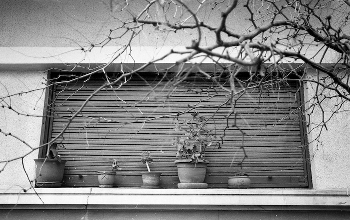 # 27 neopan 400 iso - 10.jpg