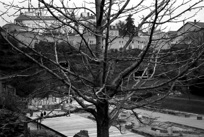 17 kodak t-max21.jpg