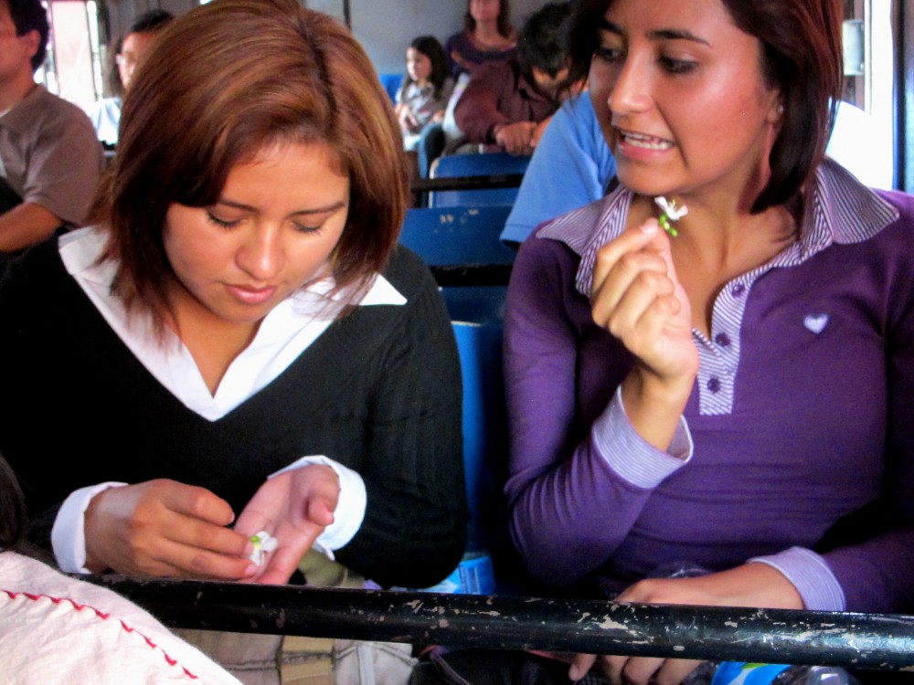 Gema y ruby con flor en el camion urbano.egg