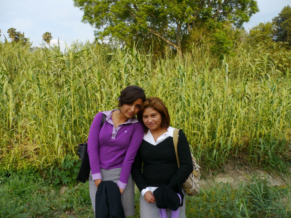 Gema y Ruby en maizal.egg