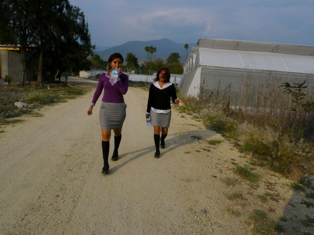 Gema y Ruby camino al sembradío de pepinos..egg