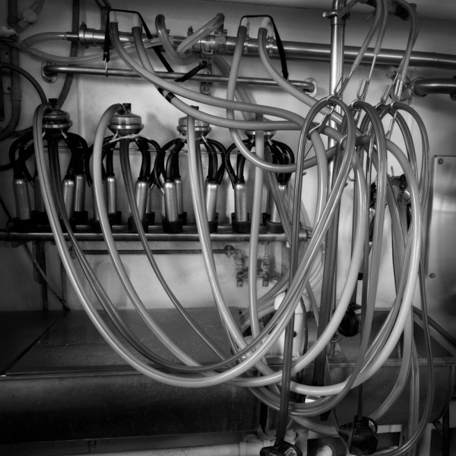0030_Skye_Chalmers_Inc.jpg