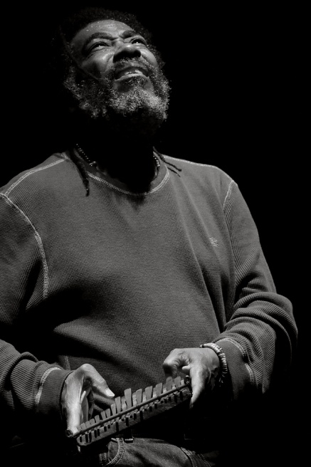 Wadada Leo Smith2 2010.jpg