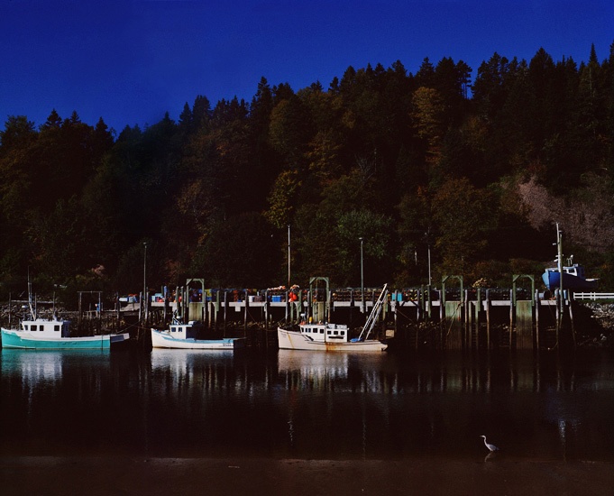 Travel_20_Bay_of_Fundy_Canada.jpg
