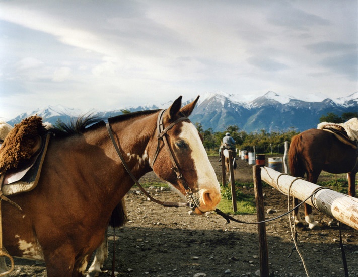 Travel_31_Horses_Estancia_Patagonia_Argentina.jpg