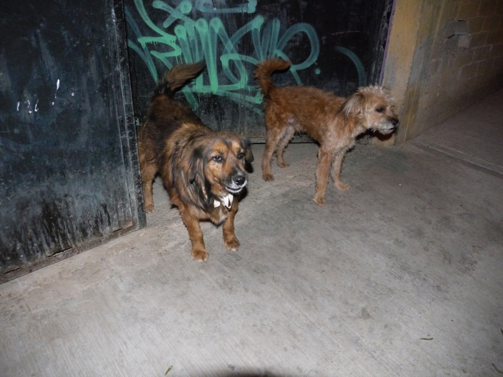P1010228.JPG