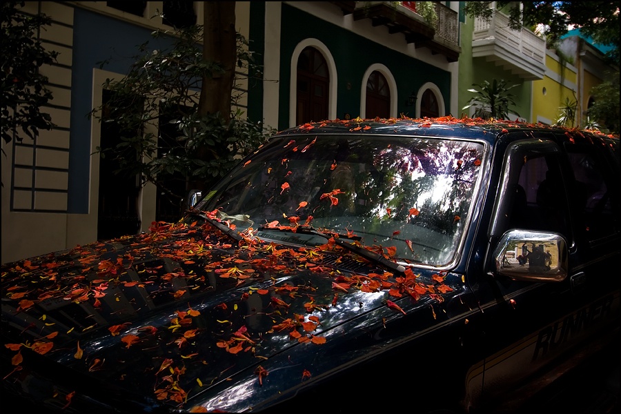 carro-flamboyanW.jpg