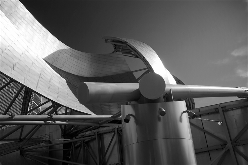 gehry-1W.jpg