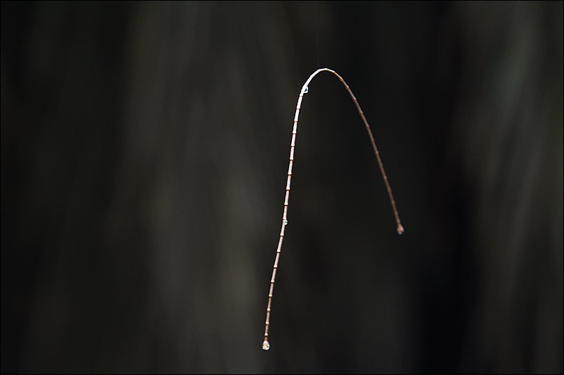 arco-flotando-2W.jpg