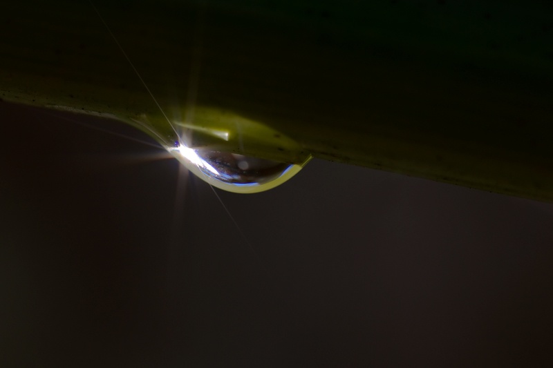 gota-2 Modif W.jpg