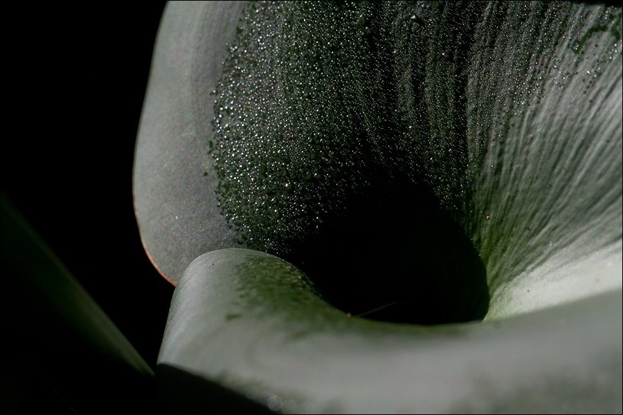 gotas-hoja-hueco-1W.jpg