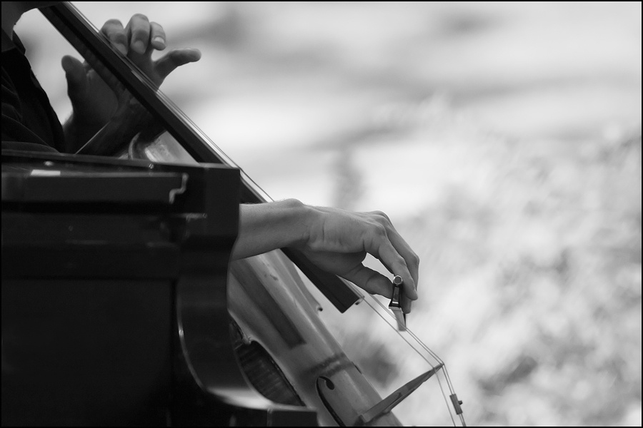Cello-2-BWw.jpg