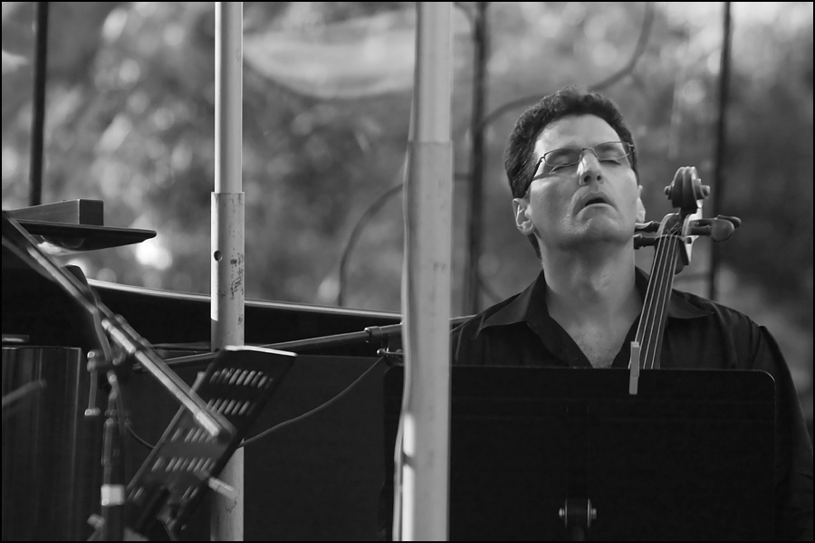 Cello-1W.jpg