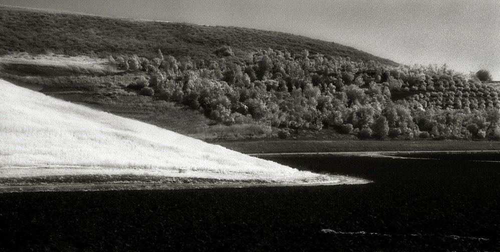 Conejo Valley, Ca 2.jpg