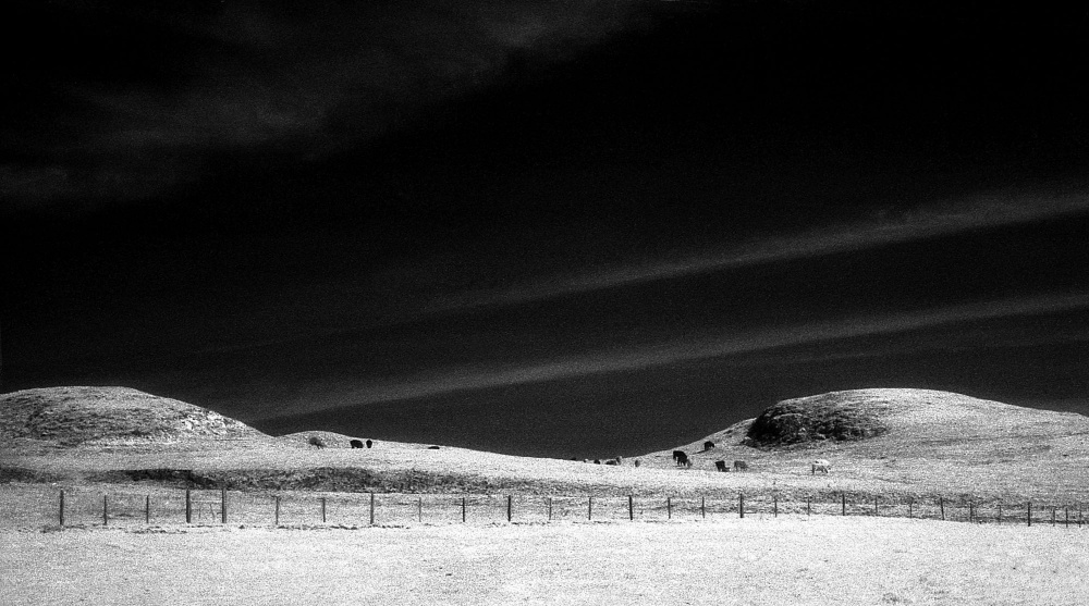 Swanton, Ca 2.jpg