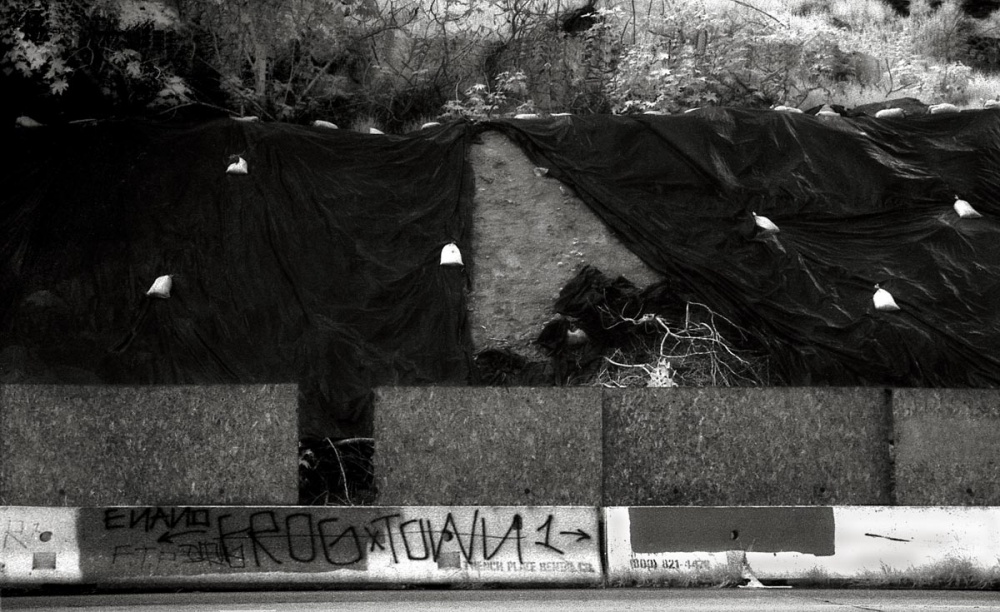 Riverside Dr, Los Angeles, Ca 2.jpg
