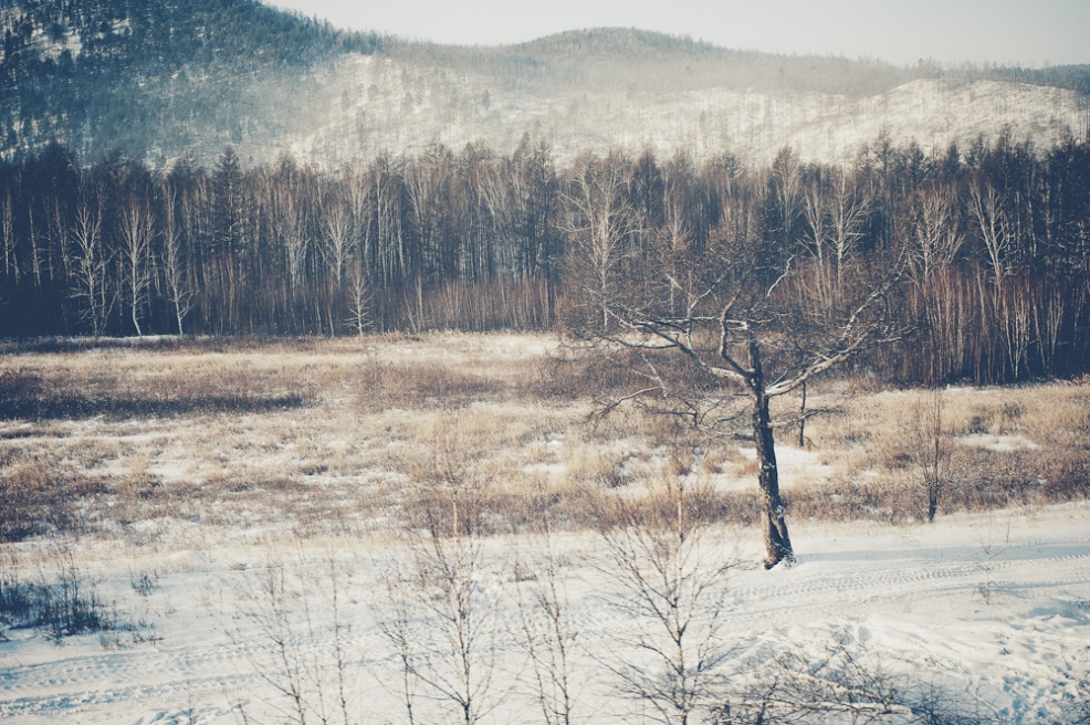 siberia (31 of 44).jpg