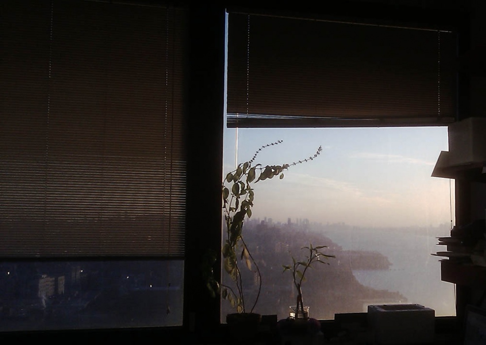 IMAG0039s.jpg