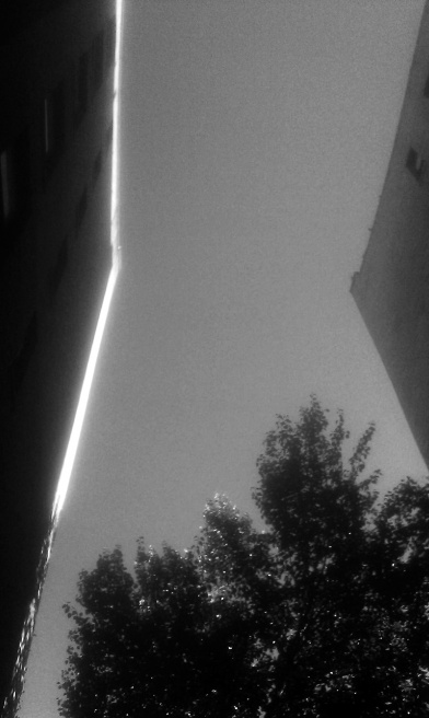 IMAG0312gs.jpg