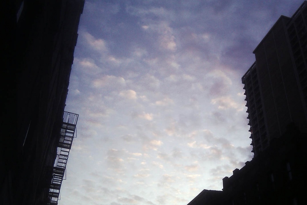 IMAG0338s.jpg
