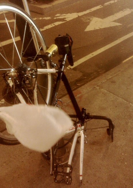 IMAG0341s.jpg